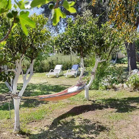 Elizabeth By Antigone Villa Halikounas Exterior photo